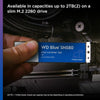 Western Digital SSD 1TB M.2 WD Blue SN580 PCIe Retail (WDS100T3B0E)